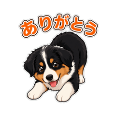 Hide_20260603173136