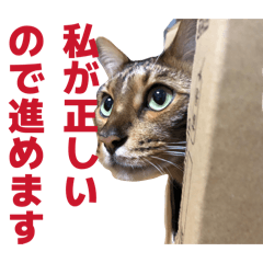 Miyabi_20260603183526