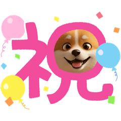 usualdog