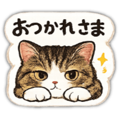 toshimitsu_20260603195905