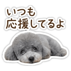 yururin_20260603203755