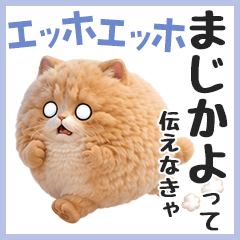 EhhoEhho cat Sticker2