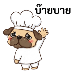 Pug Chef from a Dream (Thai Edition)