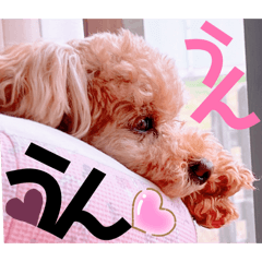 Mochioba_20260616201329