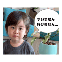 HIKARI_20260616185950