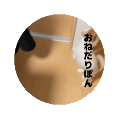 Ponkichi.2