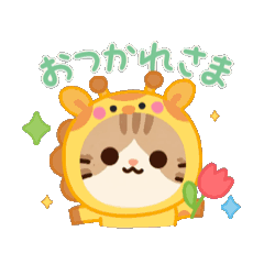 cat_20260617095204
