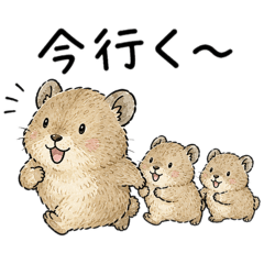 norineko71_20260616142408