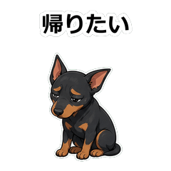 狗狗動畫真心話 Z090