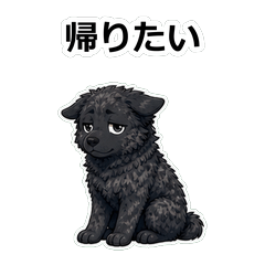 狗狗動畫真心話 Z098