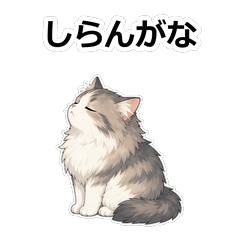 貓咪動畫真心話 Z081