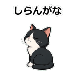 貓咪動畫真心話 Z094