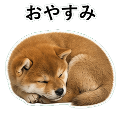 狗狗鹽回應 D014
