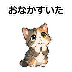 貓咪動畫真心話 Z102