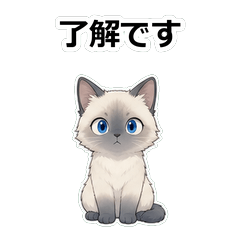 貓咪動畫真心話 Z116