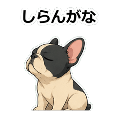 法國鬥牛犬動畫真心話 Z009