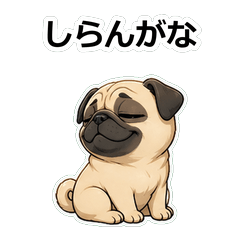 巴哥犬動畫真心話 Z010