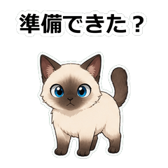 貓咪動畫真心話 Z119