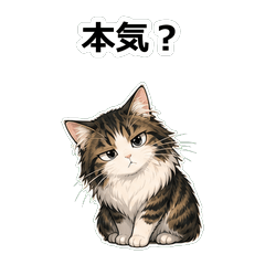 貓咪動畫真心話 Z115