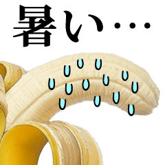 BANANA Summer (JAPAN)
