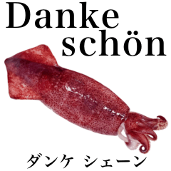 Flesh Baby squid 17