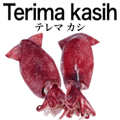 Flesh Baby squid 15