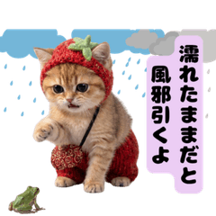 Knit Kittens: Fruit Edition[Strawberry]3