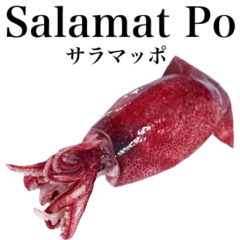 Flesh Baby squid 16