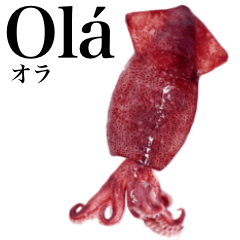 Flesh Baby squid 18