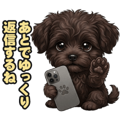 Convenient for communication! Pomapoo 14