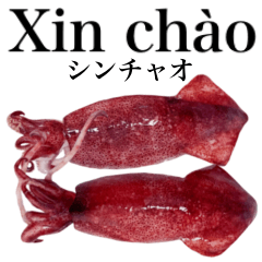 Flesh Baby squid 20