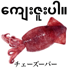 Flesh Baby squid 22