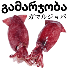 Flesh Baby squid 21