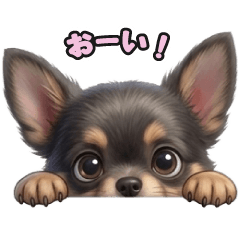 stickers featuring Chihuahua puppies