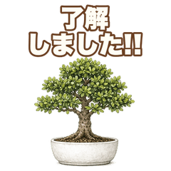 Real Reaction Mini Bonsai