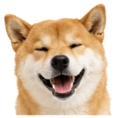 Shiba inu Japanese dog sticker