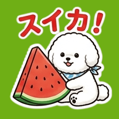Bichon Frise's Fun Summer Stickers