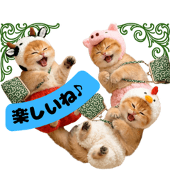 Kittens in Cow, Pig & Chicken Hats2