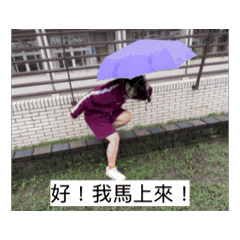 貢丸公主的動態貼圖
