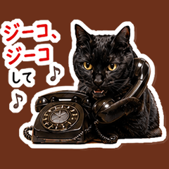 Kuro Neko Kyotaro 11 Showa Era Flavor