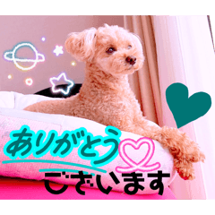 Mochioba_20260617130417