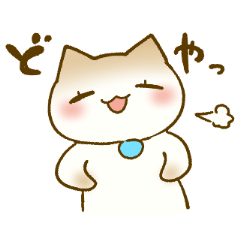 tomboy cat shiratama2