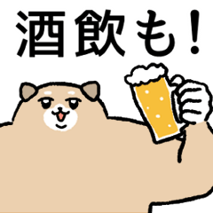 Zundoko Dog Dokkoi-sho (Sake Lover)