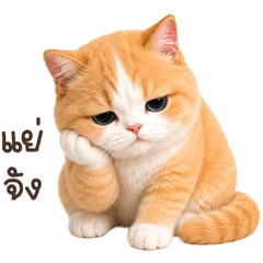 meowchubby big <3