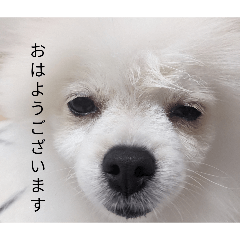 himari_20260604205523