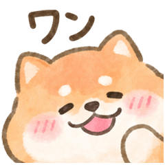 Cute Shiba for Every Day