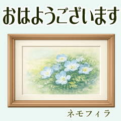 Flower Frames & Gentle Words