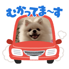 rinpei_20260616222543