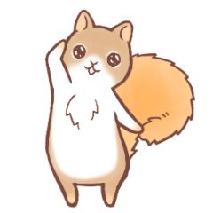 American red squirrel_Casual chat