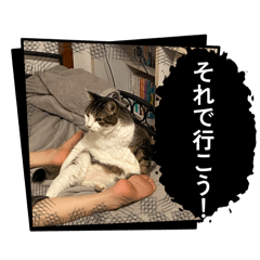 EBOSI NEKO_20260604204616
